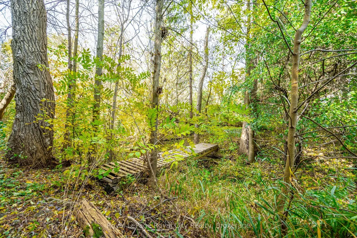 8060 Wellington Rd 18 Road, ON N1M 2W5