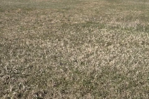 66 Concession Rd. 8 E N/A, ON K0K 3K0