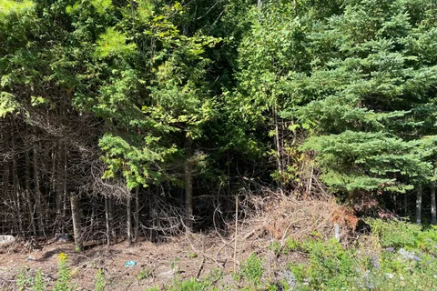 590 County Rd 40 N/A, ON K0L 2V0