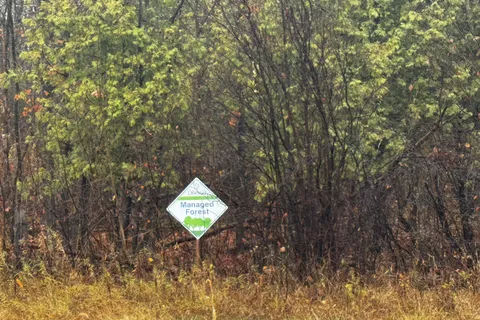 LOT COUNTY ROAD 43 Road, ON K0C 1A0