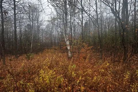 LOT COUNTY ROAD 43 Road, ON K0C 1A0