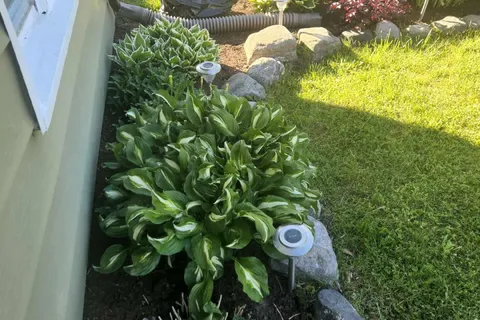 127 Leopold Street, ON K8V 2K5