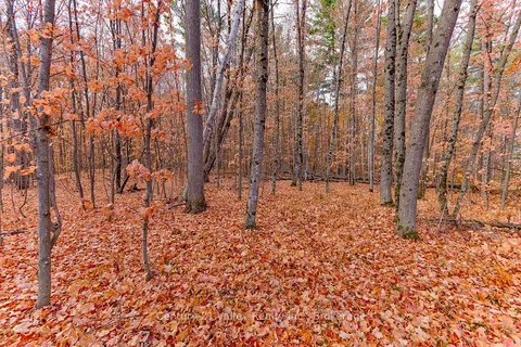 0 Rocky Point Drive, ON K0J 1X0