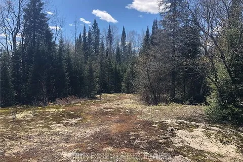 00 Pickerel & Jack Lake Road, ON P0A 1C0