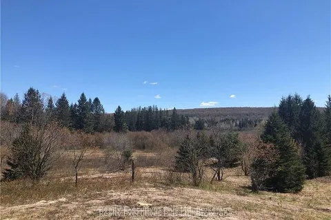 00 Pickerel & Jack Lake Road, ON P0A 1C0