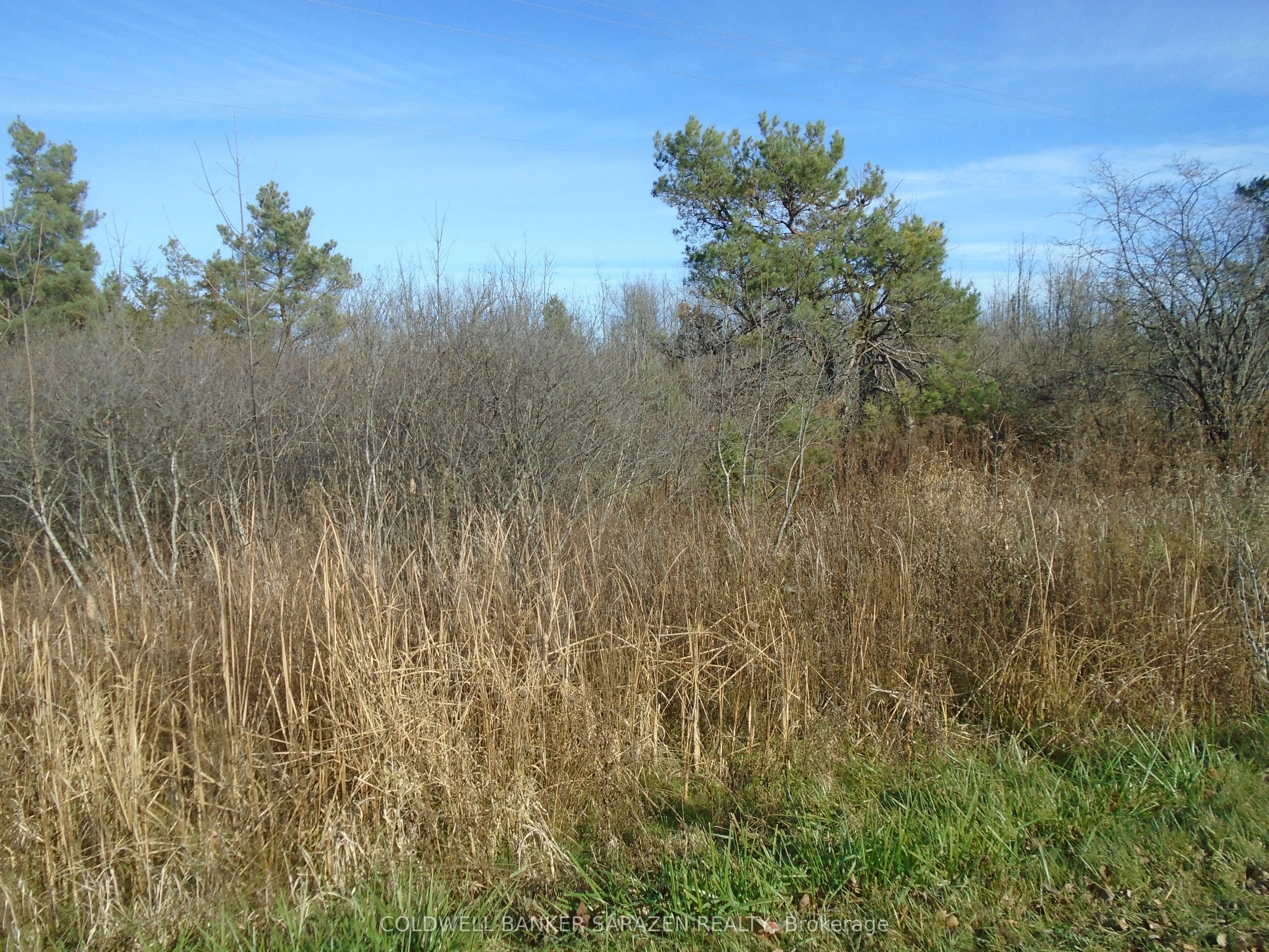 49 Rideau Avenue, ON K7A 4W1