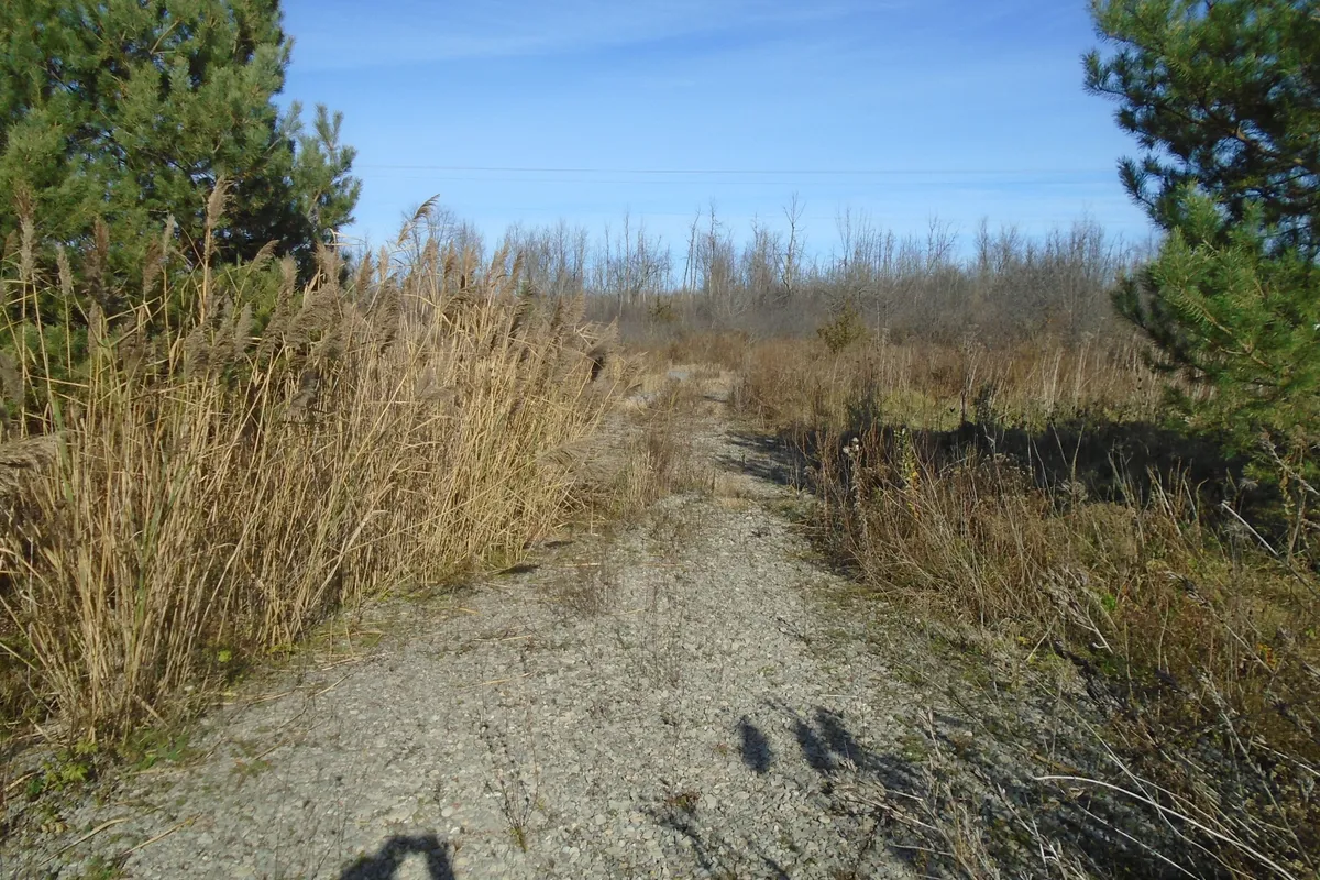 49 Rideau Avenue, ON K7A 4W1