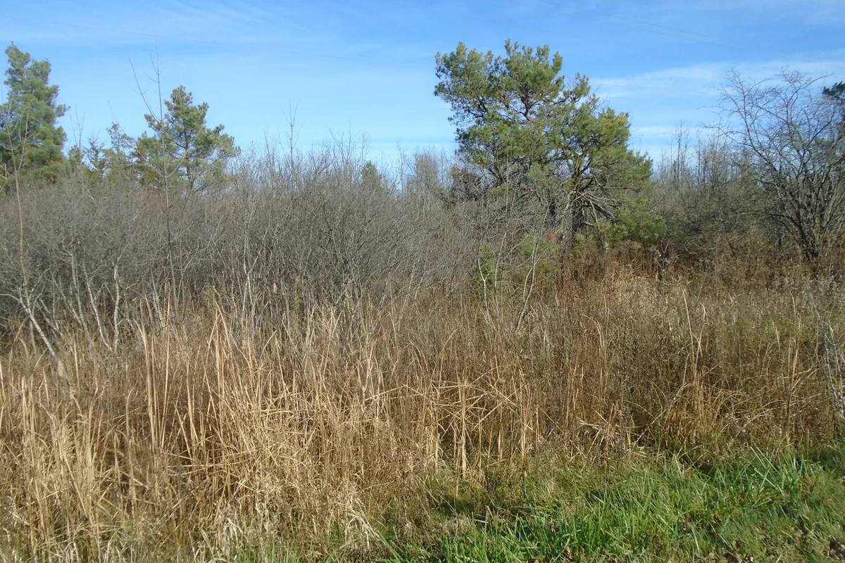 49 Rideau Avenue, ON K7A 4W1