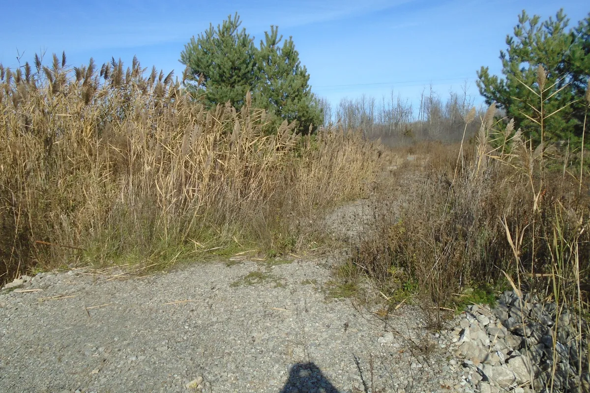 49 Rideau Avenue, ON K7A 4W1