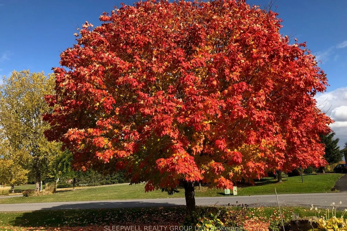 1040 Misty Morning Lane, ON K4P 1P8