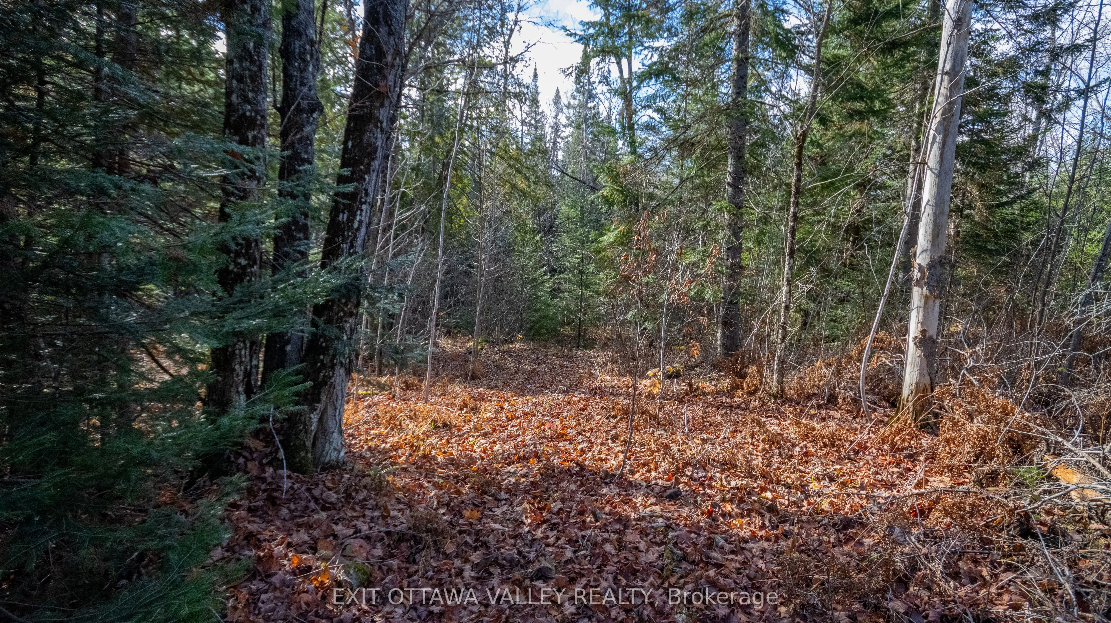 00 Highway 60 Highway, ON K0J 1B0