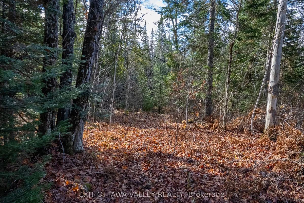 00 Highway 60 Highway, ON K0J 1B0