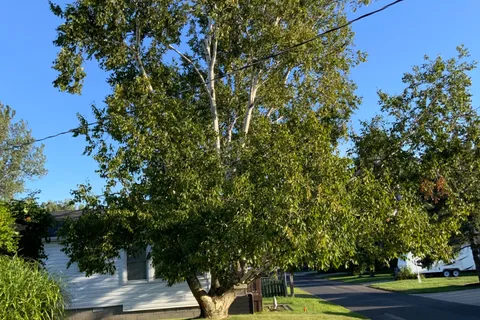 25 First Avenue, ON N0E 1M0