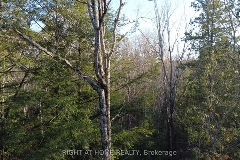 2263 Machar Strong Boundry Road, ON P0A 1Z0