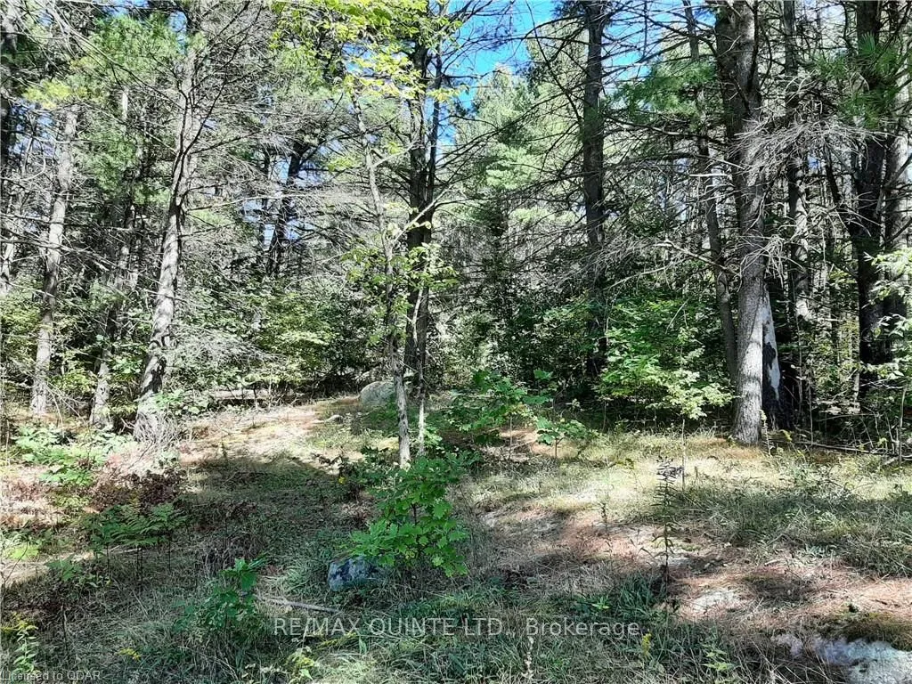 0 PT LT12 CON14 Hwy 37 Road, ON K0K 3J0