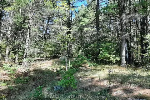 0 PT LT12 CON14 Hwy 37 Road, ON K0K 3J0