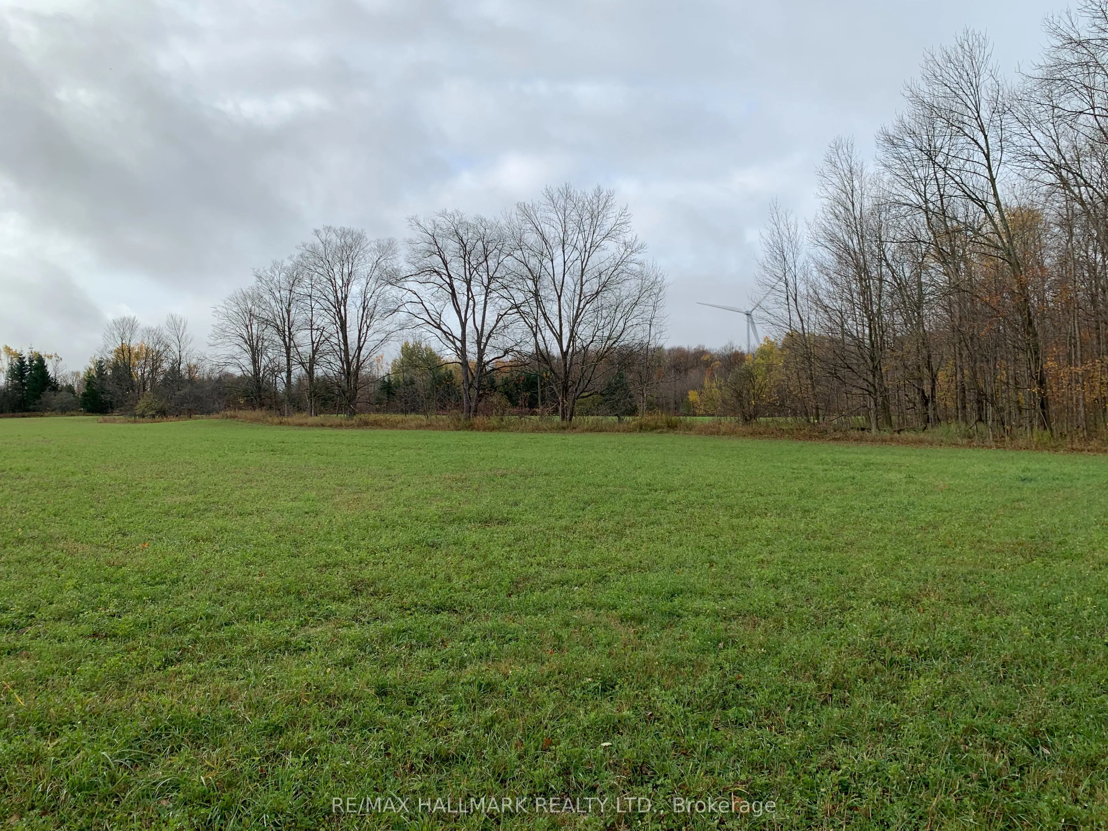 37 - 40 Concession 1 Township, ON N0C 1K0