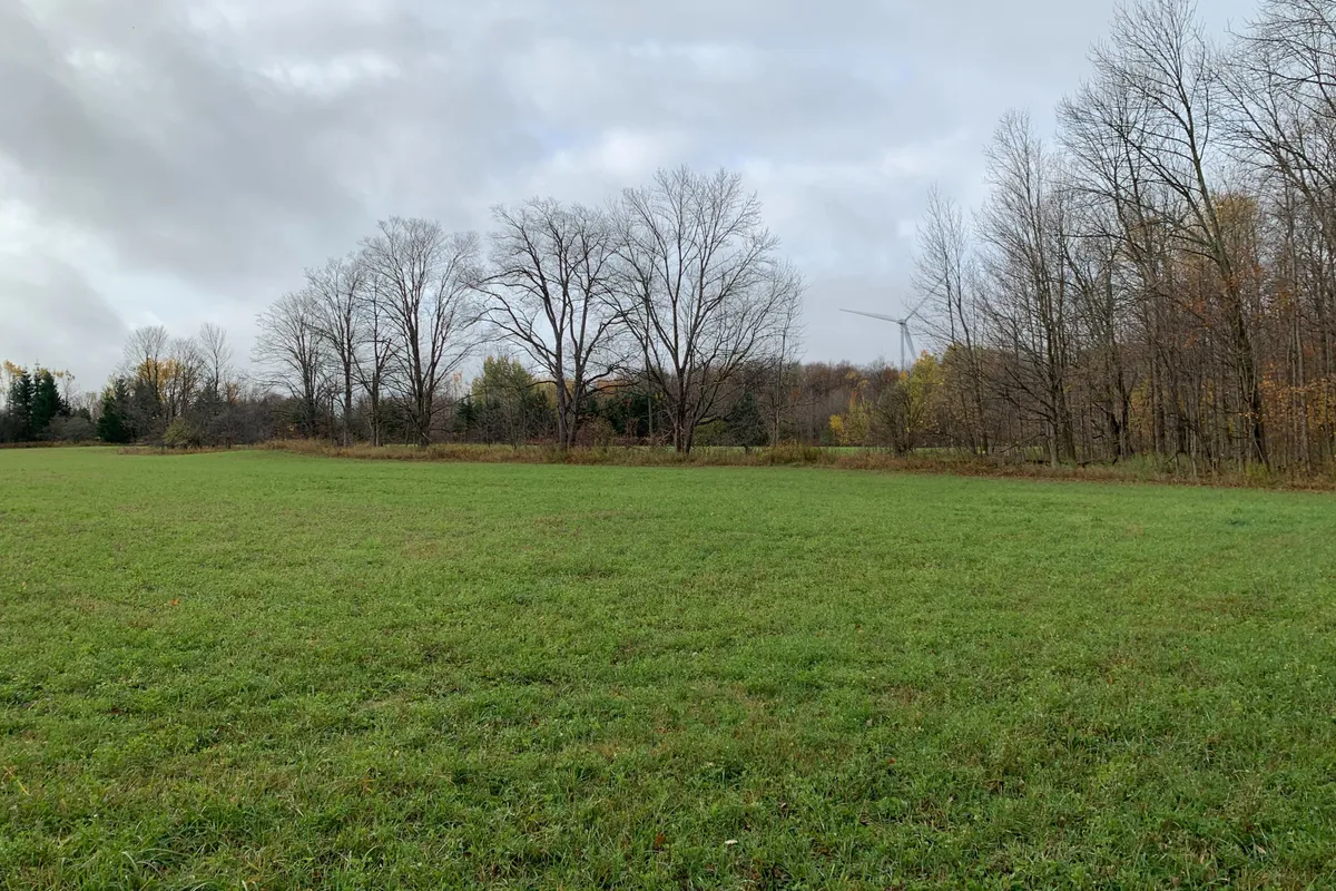 37 - 40 Concession 1 Township, ON N0C 1K0