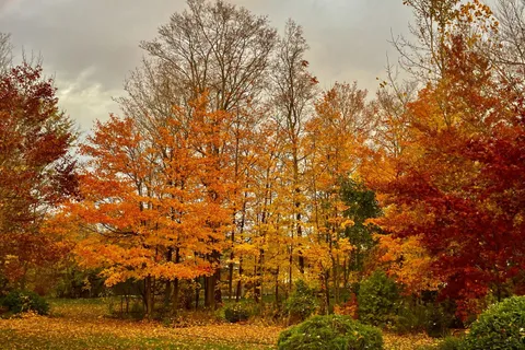 231 Centennial Avenue, ON N5R 5B4