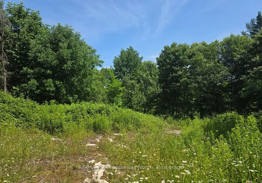 1134 Walkers Line Road, ON K0M 1S0