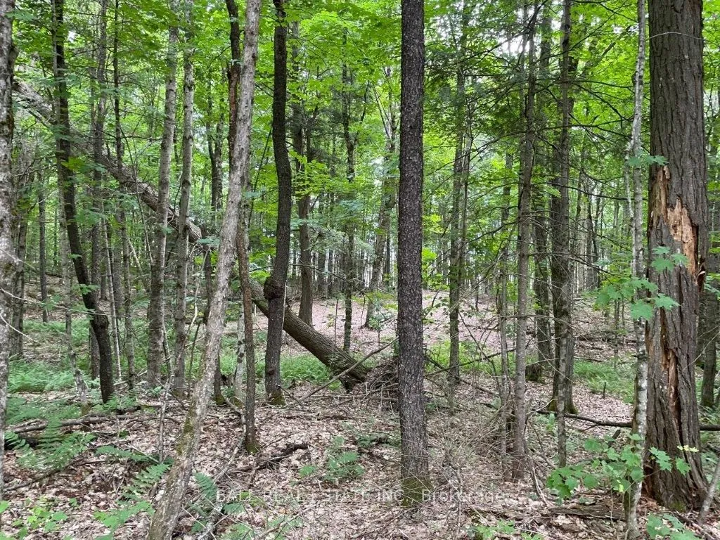 1350 Haliburton Lake Rd N/A, ON K0M 1S0