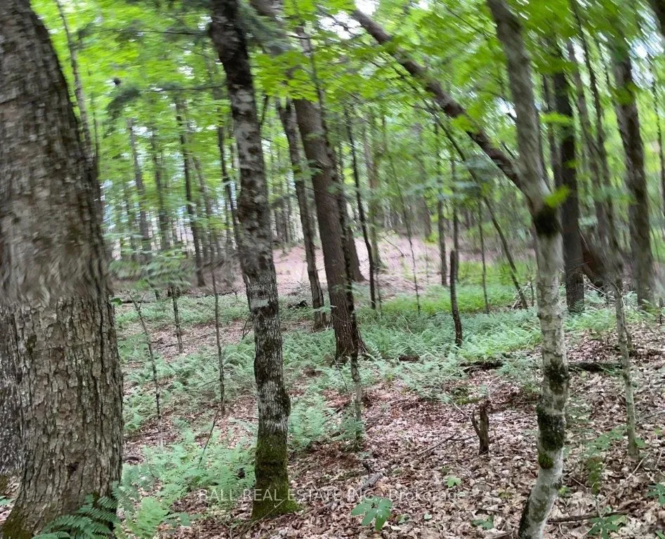 1350 Haliburton Lake Rd N/A, ON K0M 1S0