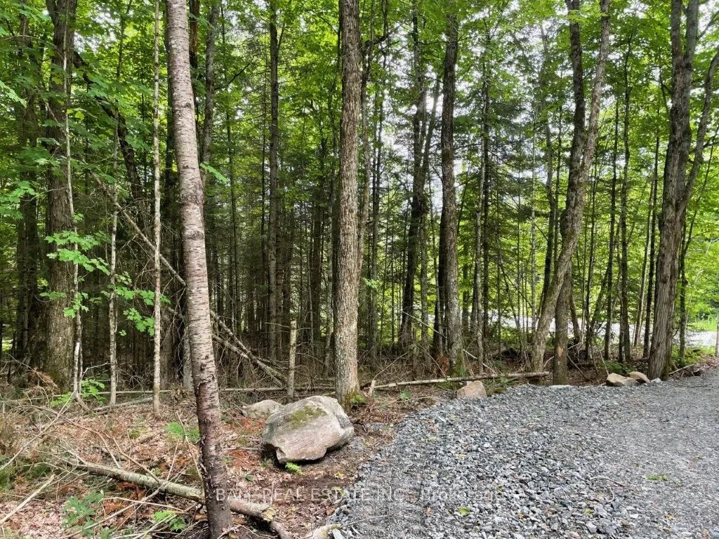 1350 Haliburton Lake Rd N/A, ON K0M 1S0