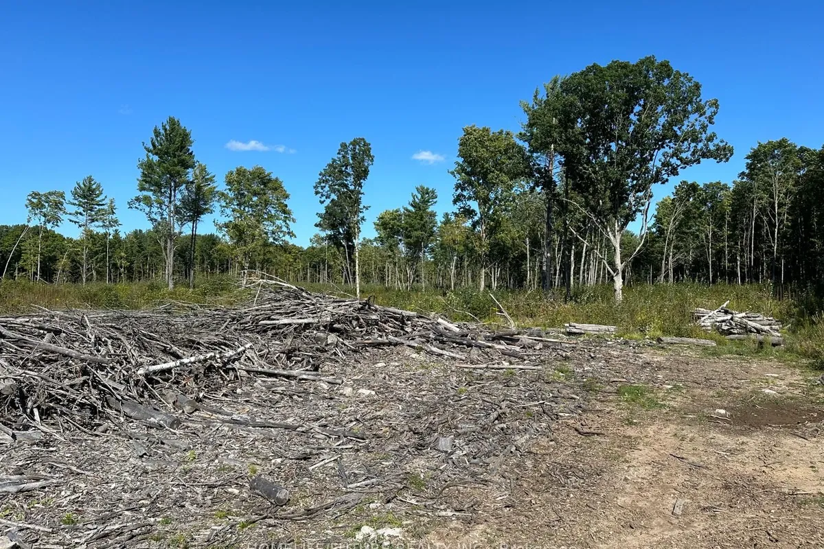 PT/LT13 Belmont Concession, ON K0L 1Z0