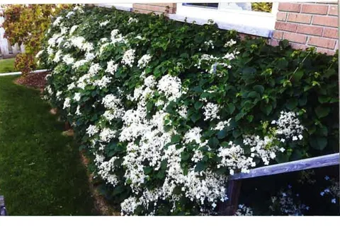 7 North Drive, ON K0K 1H0