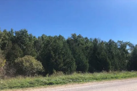 N/A Mulock Road, ON N4N 3B9