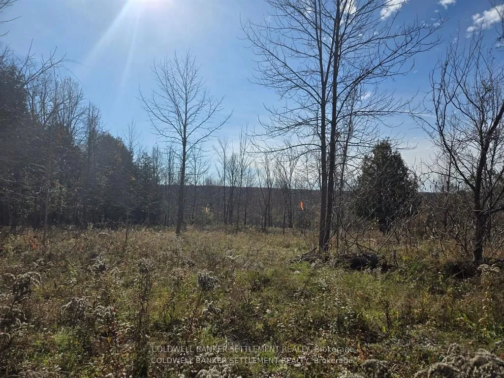 0 Dalhousie Con 8 Concession, ON K0G 1K0