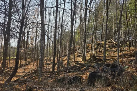 0 Dalhousie Con 8 Concession, ON K0G 1K0