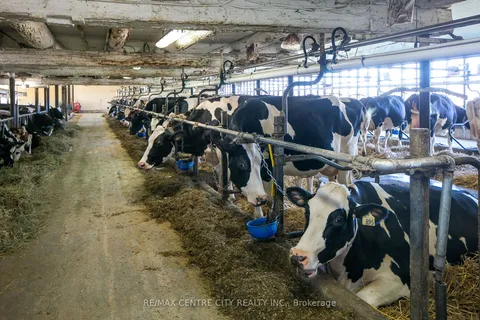 595224 4th Line, ON N0H 2E0