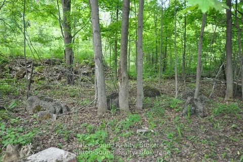 719140 Highway 6 Highway, ON N0H 2K0