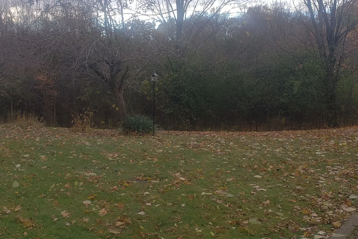 29 Balfour Place, ON N5W 4V7