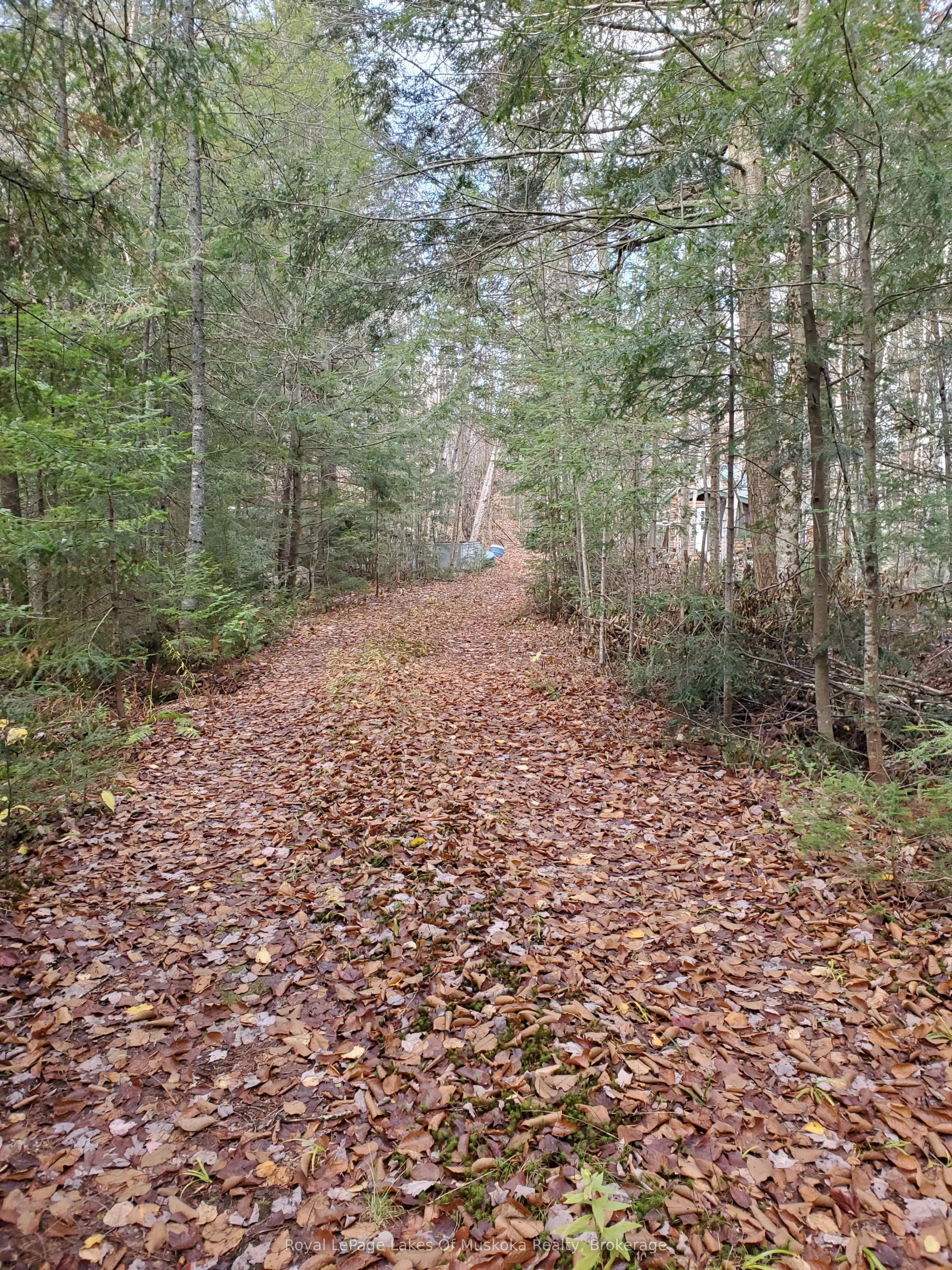 00000 Ril Lake Road, ON P0B 1A0