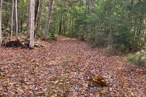 00000 Ril Lake Road, ON P0B 1A0