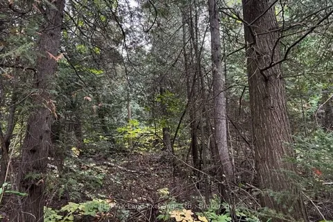 2 SHORE Road, ON N0H 2L0