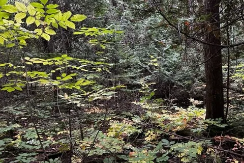 2 SHORE Road, ON N0H 2L0