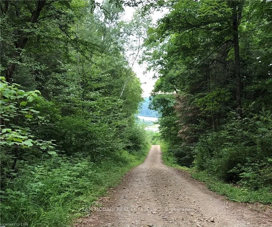 5 Lodge Lane, ON P0A 1Z0