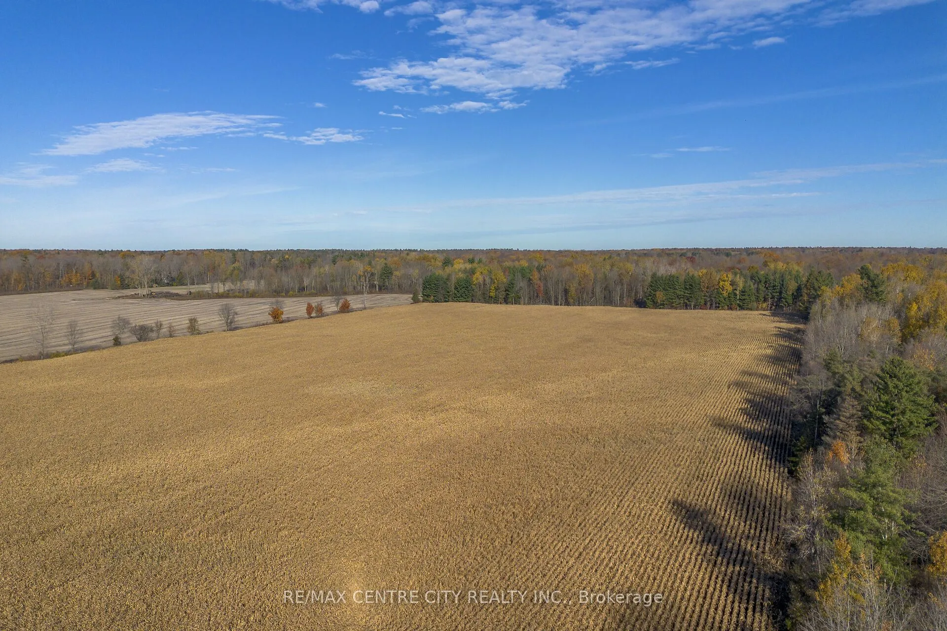 PT LT 140&141 Col Talbot Road, ON N4G 4G9