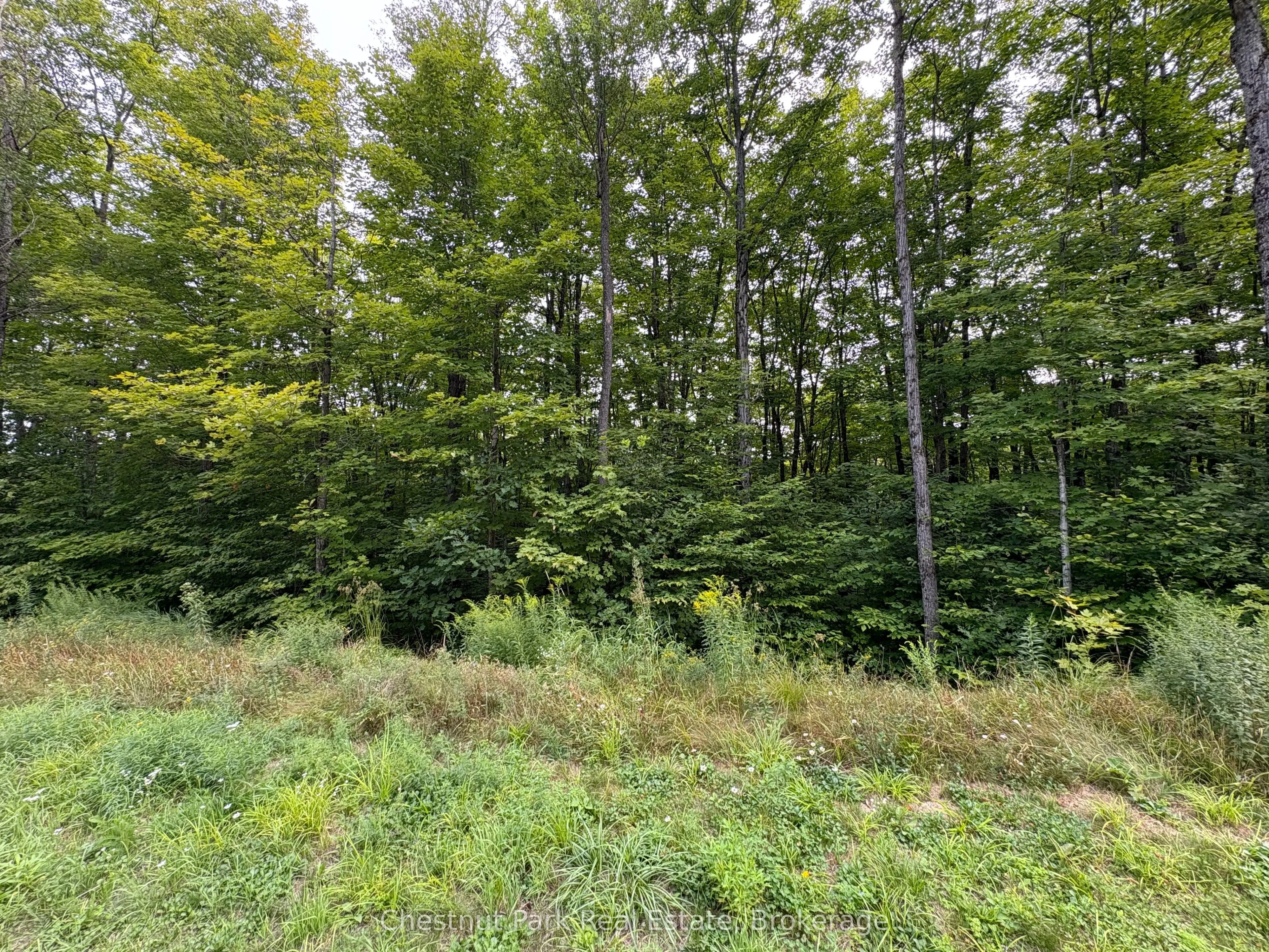 Lot 11 Millie's Way, ON P0A 1C0