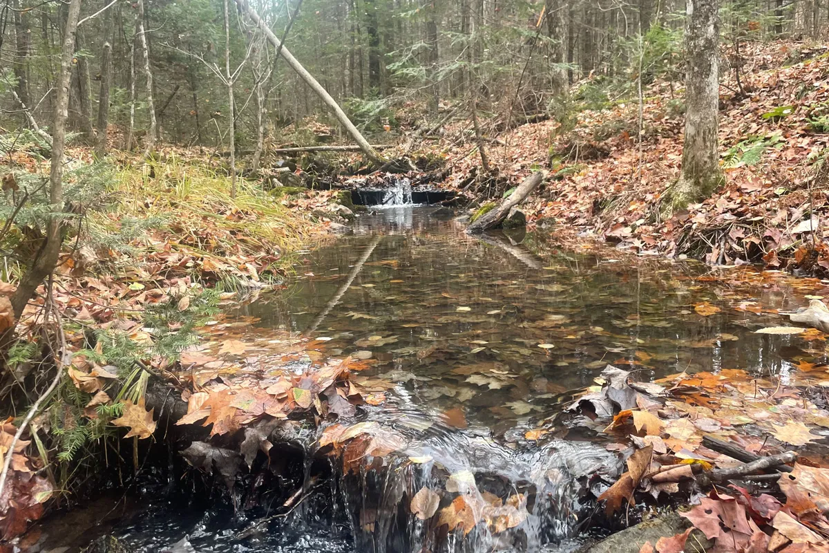 0 Snow Road, ON K0L 1C0