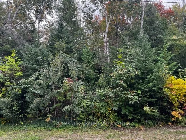 3 SHORE Road, ON N0H 2L0