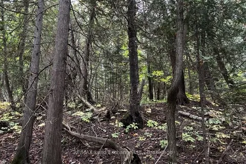 3 SHORE Road, ON N0H 2L0