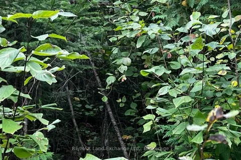 3 SHORE Road, ON N0H 2L0