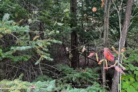 3 SHORE Road, ON N0H 2L0