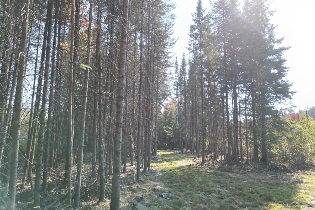 809-865 Spring Hill Road, ON P0A 1C0