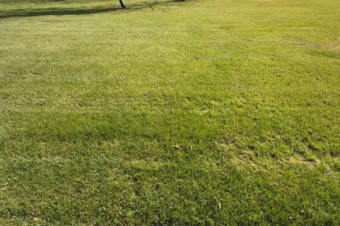 29738 Talbot Line, ON N0L 2M0