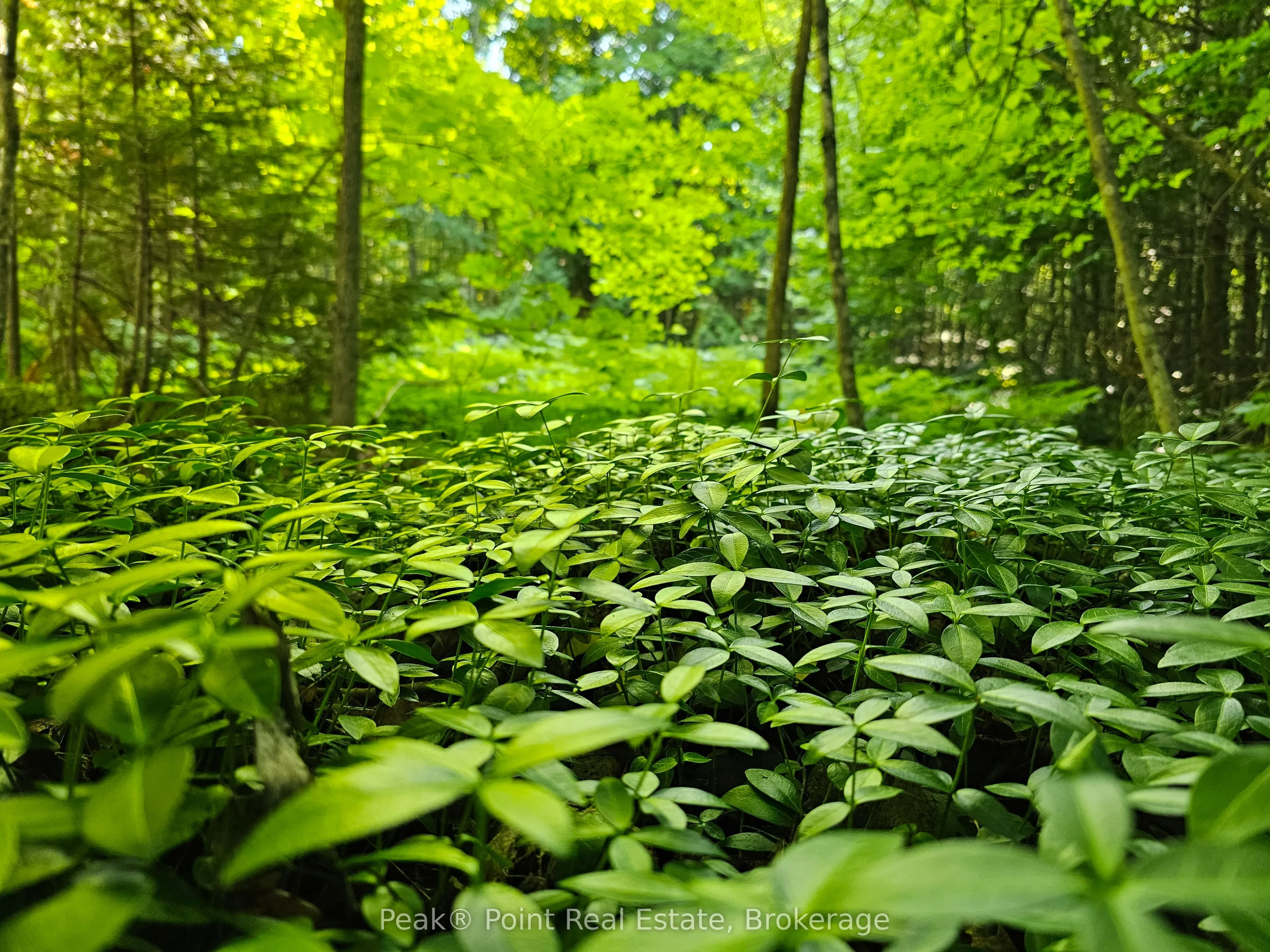 725 Purple Valley Road, ON N0H 2T0